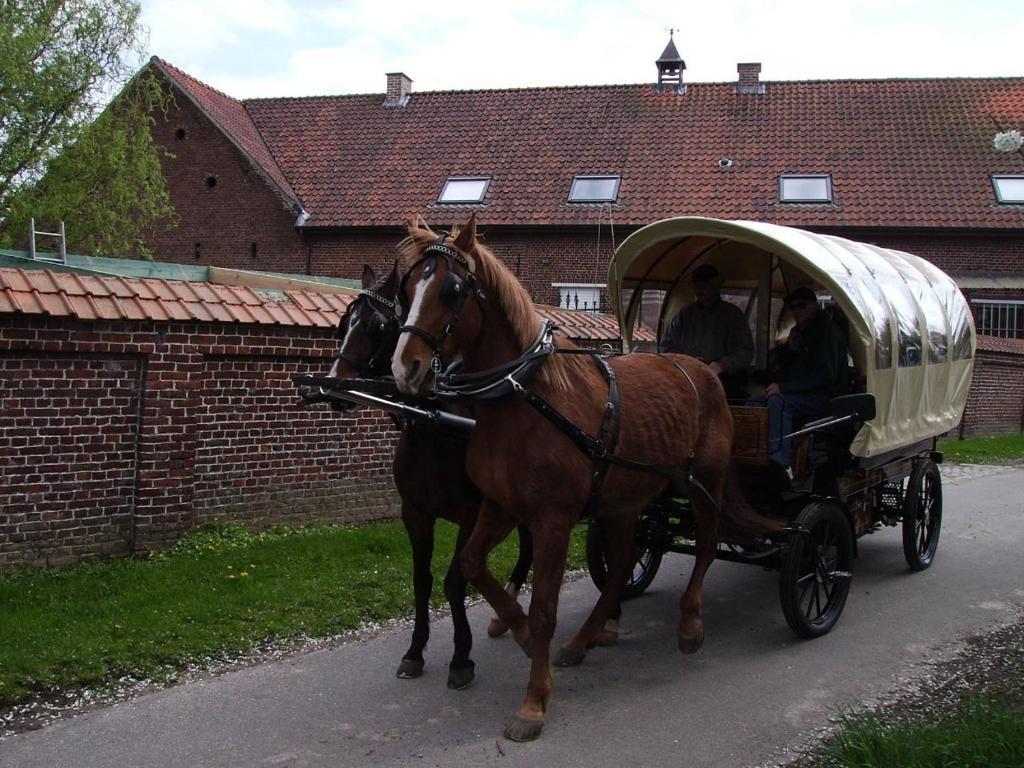 B&B In De Lossen Teugel Erpe-Mere Exterior foto