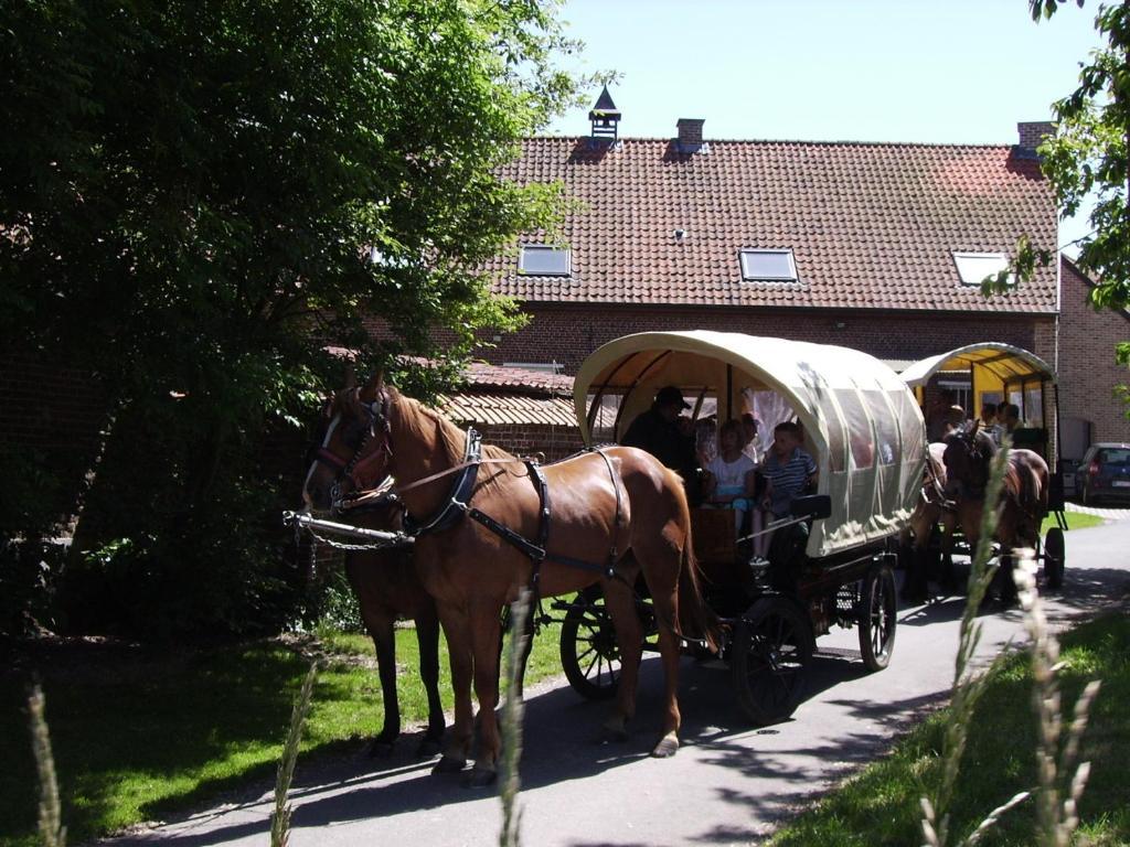 B&B In De Lossen Teugel Erpe-Mere Exterior foto