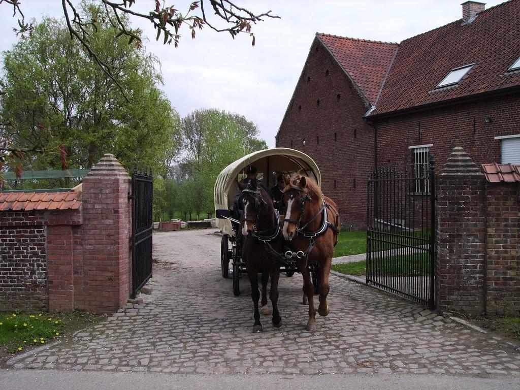 B&B In De Lossen Teugel Erpe-Mere Exterior foto